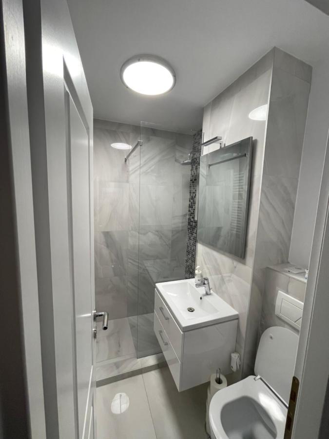 Oxana Apartments - 3 Camere - Timisoara Esterno foto
