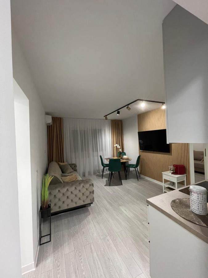 Oxana Apartments - 3 Camere - Timisoara Esterno foto
