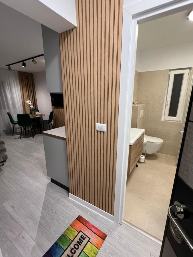 Oxana Apartments - 3 Camere - Timisoara Esterno foto