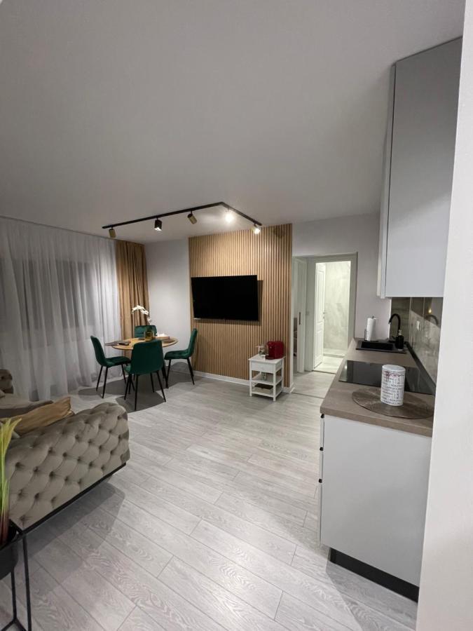 Oxana Apartments - 3 Camere - Timisoara Esterno foto