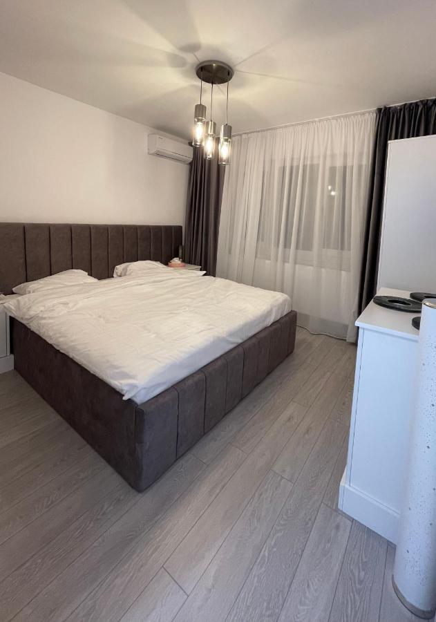 Oxana Apartments - 3 Camere - Timisoara Esterno foto