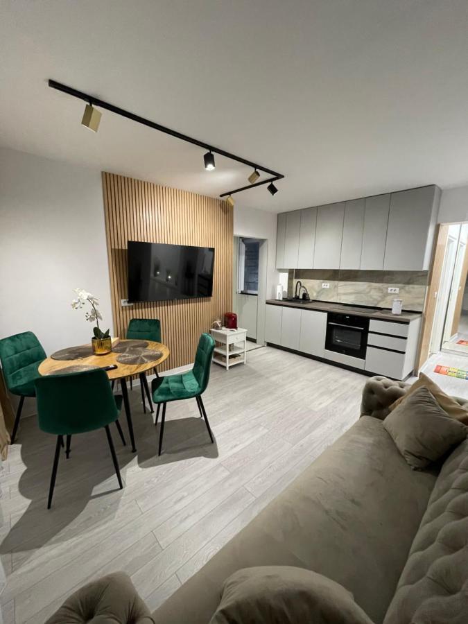 Oxana Apartments - 3 Camere - Timisoara Esterno foto