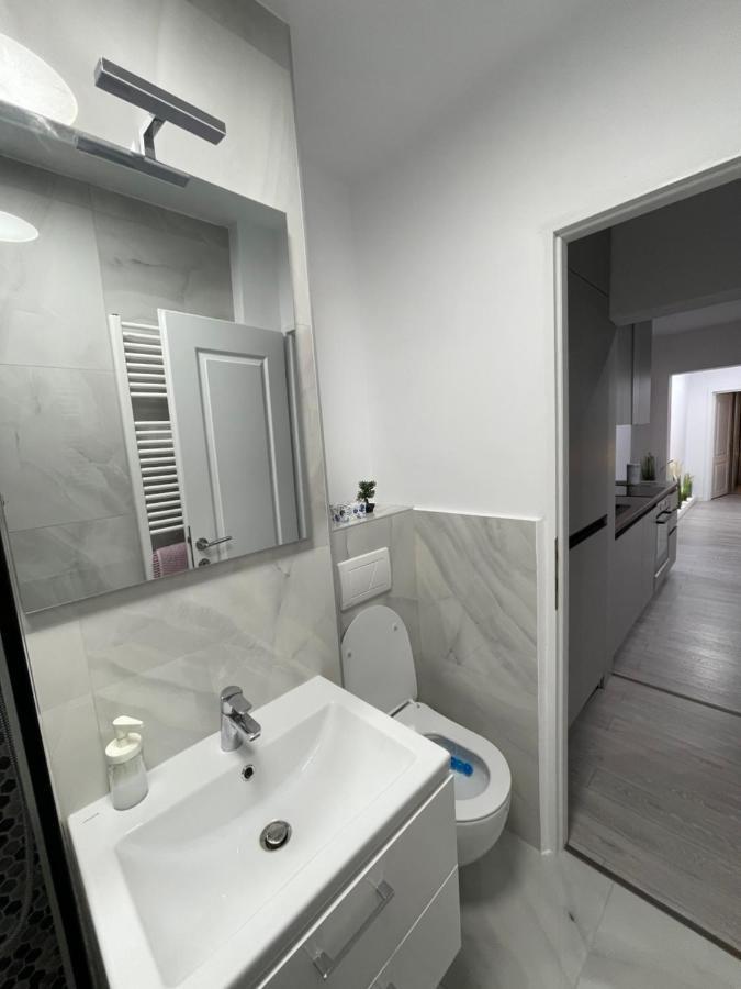 Oxana Apartments - 3 Camere - Timisoara Esterno foto