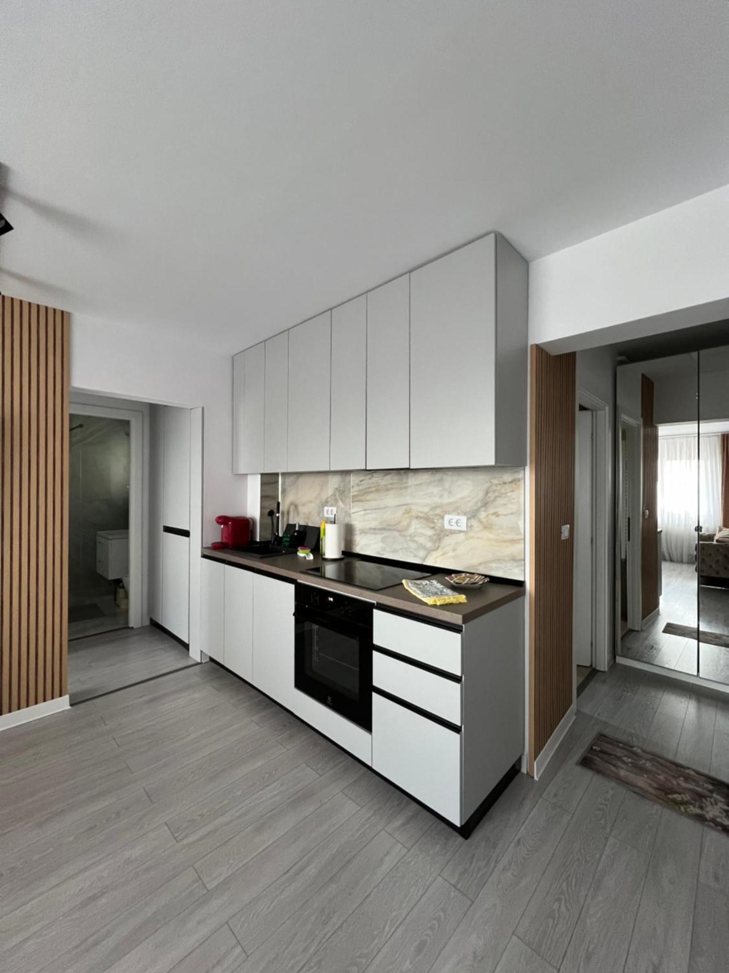 Oxana Apartments - 3 Camere - Timisoara Esterno foto